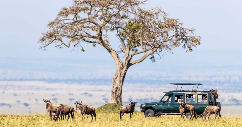 Age Limit for Children on Kenya Safaris
