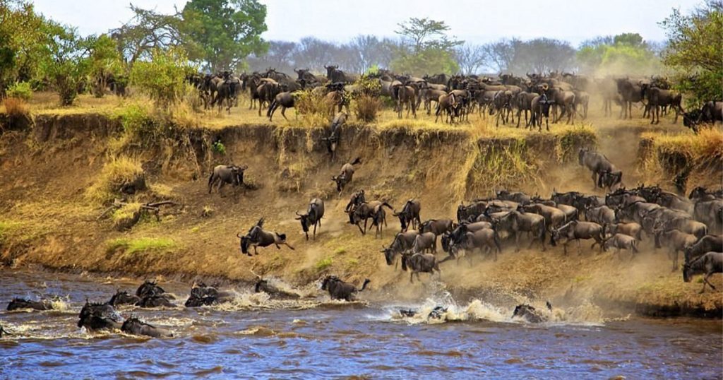difference between Masai Mara and Serengeti.
