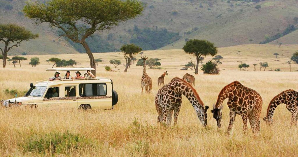 Is Kenya safari expensive or affordable.Is Kenya safari expensive or affordable.
