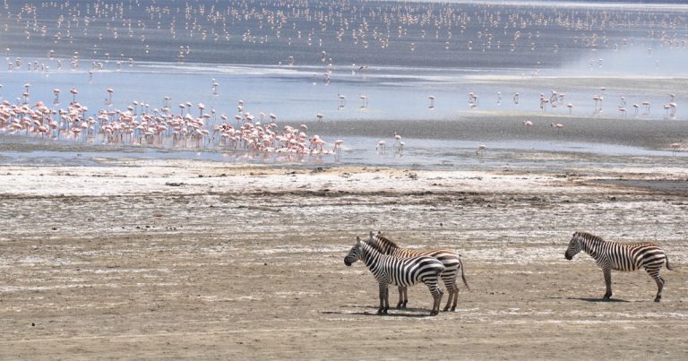 3 days Lake Naivasha and Lake Nakuru Safari.