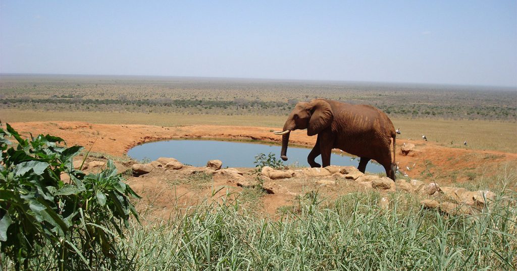 3 days Tsavo East Safari