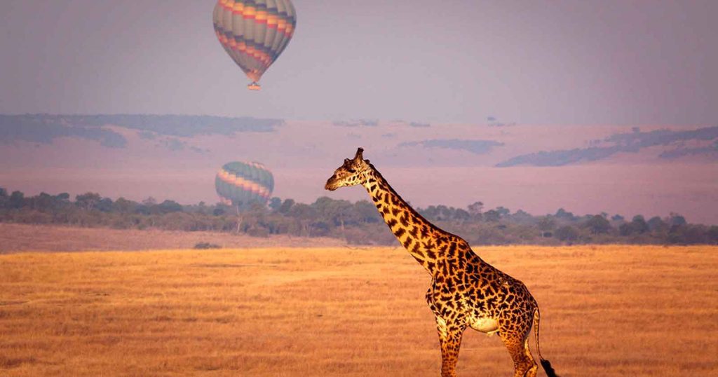 Do Kenya Safaris Operate All Year