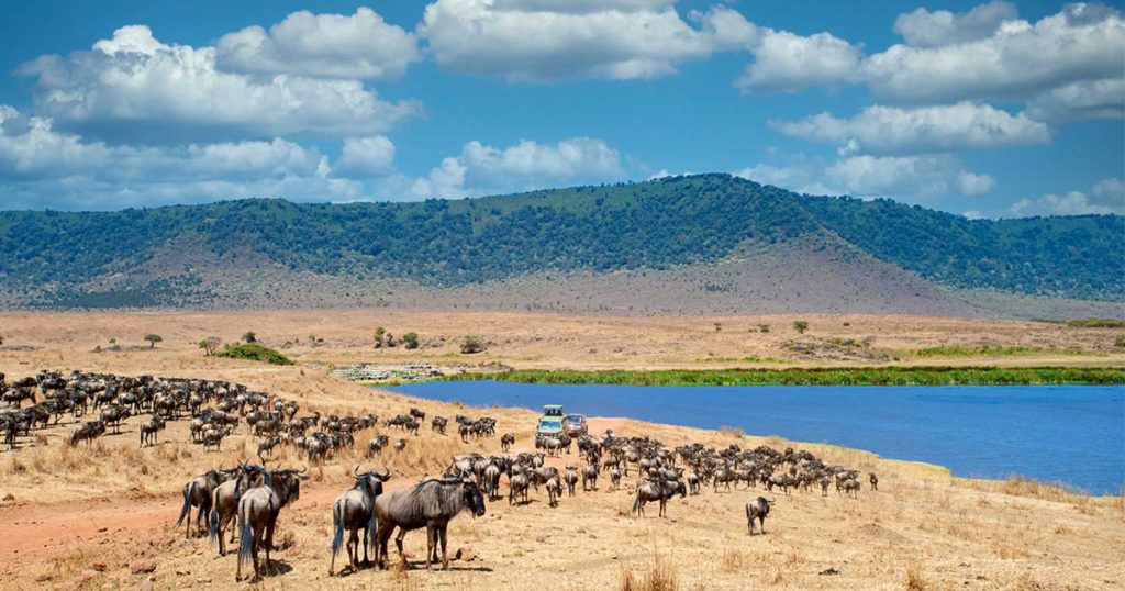 7 day Tanzania honeymoon safari