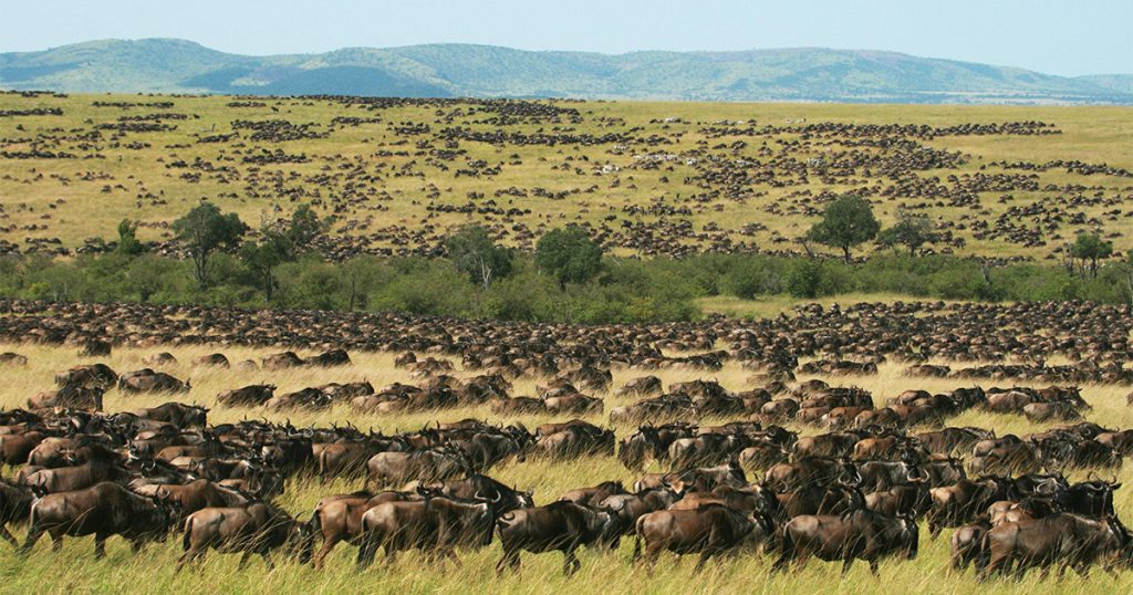 What is the best month to visit Masai Mara