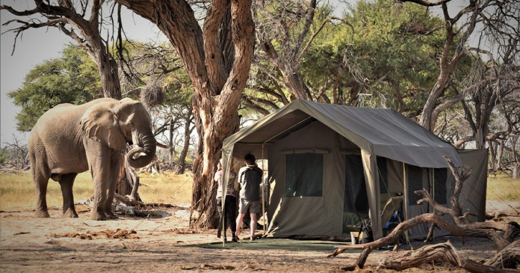 10 Days Zimbabwe Botswana and South Africa Tour