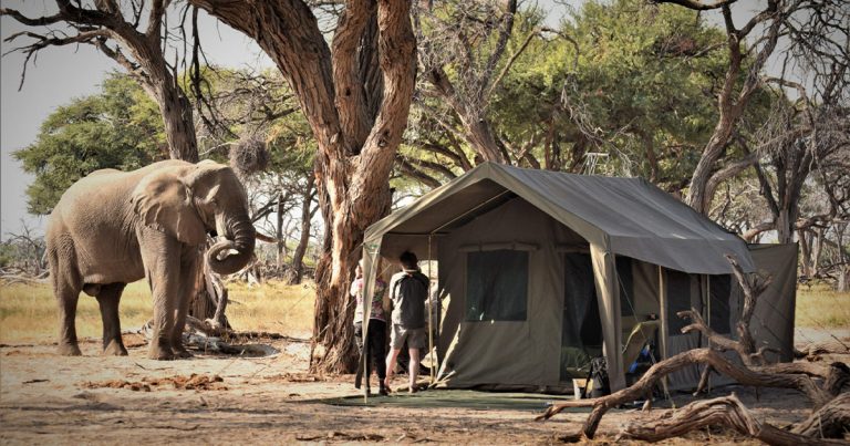 10 Days Zimbabwe Botswana and South Africa Tour