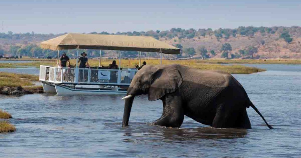31 Days Best of East and South Africa safari