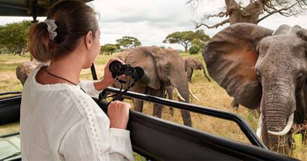 4 day Tanzania fly in honeymoon safari