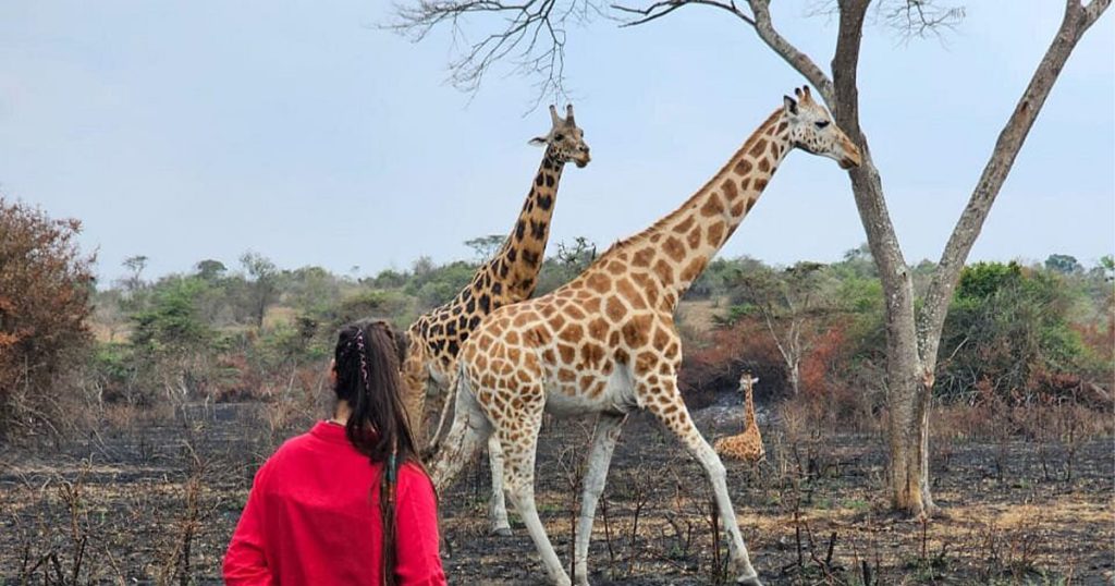 7 Day Lake Mburo, Queen Elizabth and Lake Bunyonyi